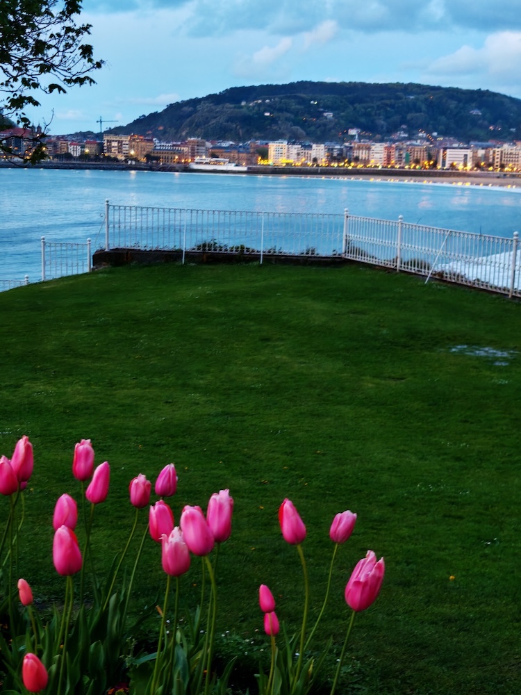 Atardecer en la bahía de La Concha con tulipanes