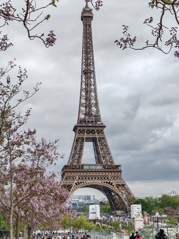 Torre Eiffel entre árboles en flor, París